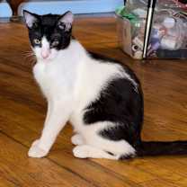 Thumbnail photo of Charlie #1