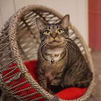 Thumbnail photo of Twix #1