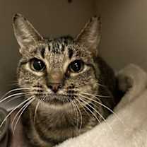 Thumbnail photo of Mallory #1