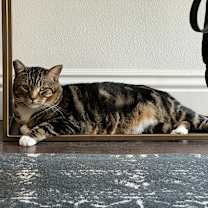 Thumbnail photo of Seymour #3