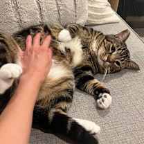 Thumbnail photo of Seymour #4