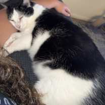 Thumbnail photo of Juanita #2