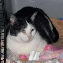 Thumbnail photo of Juanita #3