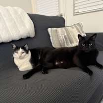 Thumbnail photo of Juanita #4