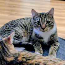 Thumbnail photo of Bali #1