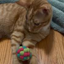 Thumbnail photo of Paul #4