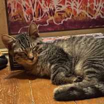 Thumbnail photo of Jimmy Reed #1