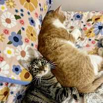 Thumbnail photo of Bobby #4