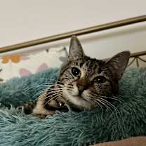 Thumbnail photo of Sally #2