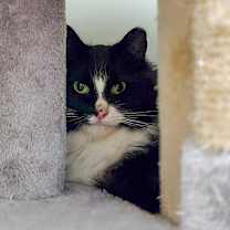 Thumbnail photo of Clara #4