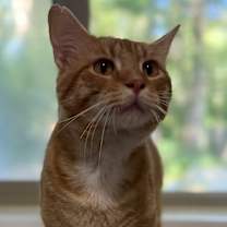 Thumbnail photo of Zeus #2