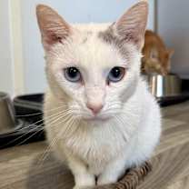 Thumbnail photo of Stretch #1