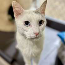 Thumbnail photo of Stretch #2