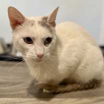 Thumbnail photo of Stretch #3