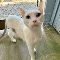 Thumbnail photo of Stretch #4