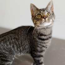 Thumbnail photo of Betty #2