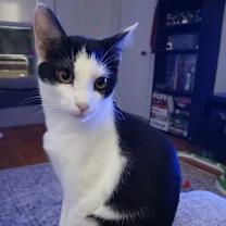 Thumbnail photo of Mrs. Beakley #1