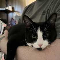 Thumbnail photo of Marie #2