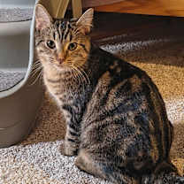 Thumbnail photo of Ridge #1