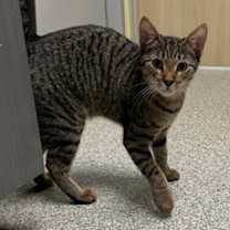 Thumbnail photo of Cara #2