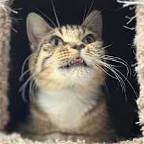 Thumbnail photo of Jilly #1