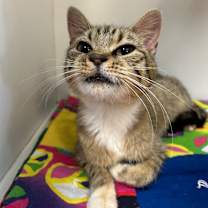 Thumbnail photo of Jilly #2