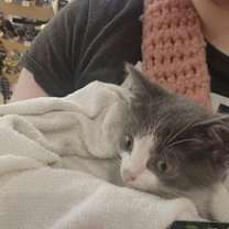 Thumbnail photo of Poppy #4