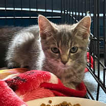 Thumbnail photo of Lucky Brand #2