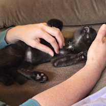 Thumbnail photo of Breeze #3