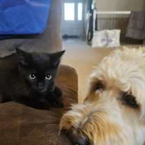 Thumbnail photo of Breeze #4