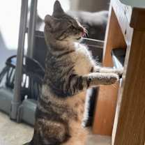 Thumbnail photo of Bridget #2