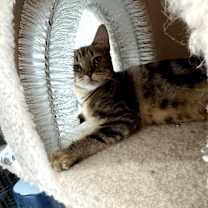 Thumbnail photo of Bridget #1