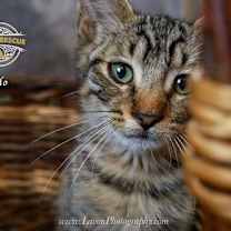 Thumbnail photo of Lalo #2