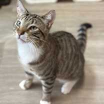 Thumbnail photo of Darren #2