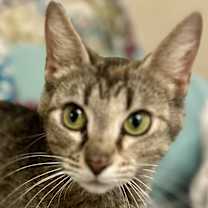 Thumbnail photo of Autumn #1