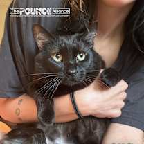 Thumbnail photo of Sinkhole Stephanie #2