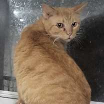 Thumbnail photo of Julien #2