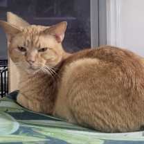 Thumbnail photo of Julien #3