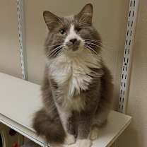 Thumbnail photo of Ivan #2