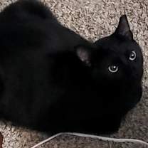 Thumbnail photo of Elsa #4