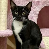 Thumbnail photo of Quinn #1