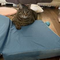 Thumbnail photo of Ren #1