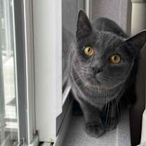 Thumbnail photo of Blueberry #1