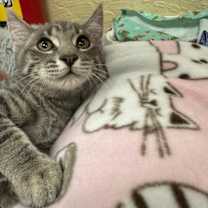 Thumbnail photo of Neptune #1