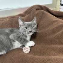 Thumbnail photo of Temu Tim #3