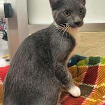 Thumbnail photo of Temu Tim #4