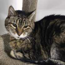 Thumbnail photo of Leia #4