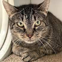 Thumbnail photo of Hilda #2