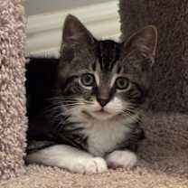 Thumbnail photo of Eris #2