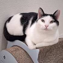 Thumbnail photo of Rain #4